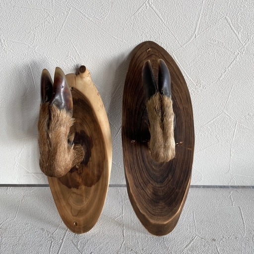 鹿の剥製 壁掛け しかの足2点セットn