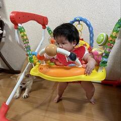 アンパンマン ジャンパールー