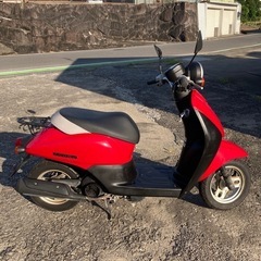 ホンダ　トゥデイ　AF67の画像