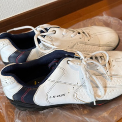 【レトロ×実用◎】木製ドライバー付き⛳️ゴルフクラブ一式＋シューズ＋ボールなどフルセット✨1万7千円🎁の画像