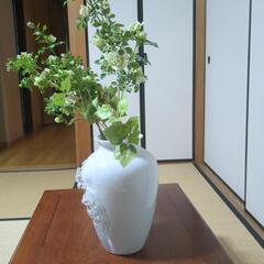 花瓶の画像