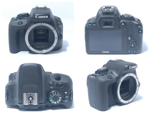 【美品】Canon Kiss X7  スマホ転送　一眼レフデビュー キャノン　一眼レフ
