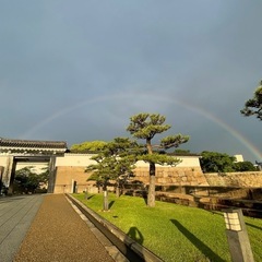 大阪城公園お散歩交流会🌳🏯🌳