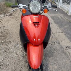 美バイク ホンダ　TODAY AF 67/ 50ccの画像