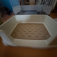 犬のトイレの画像