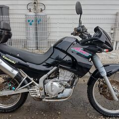 美しいカワサキアネロバイク/LE250A /250ccの画像