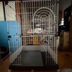 猫ちゃんゲージの画像