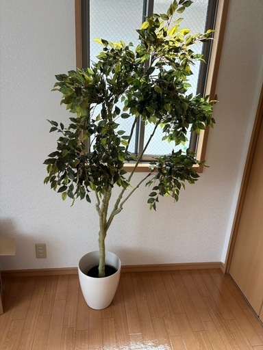 受け渡し者決定:フェイク観葉植物セット