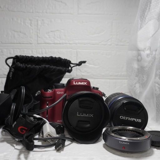 LUMIX GH1カメラ
