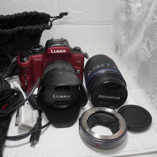 LUMIX GH1カメラ