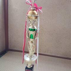 トロフィ ２つ　 65cm 45cm 準優勝 空手の飾り付　演劇...