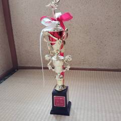 トロフィ ２つ　 65cm 45cm 準優勝 空手の飾り付　演劇の小道具などに最適　美品の画像