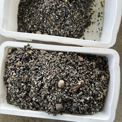 お話し中　水槽　上部フィルター　GEX 熱帯魚　アクアリウムの画像