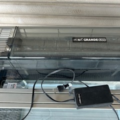 お話し中　水槽　上部フィルター　GEX 熱帯魚　アクアリウムの画像
