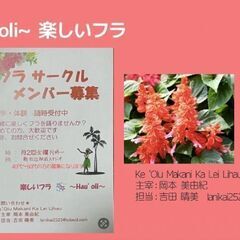 お仕事終わったら京田辺でフラダンス
