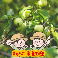 ＼日払い・1日OK！／休憩たっぷり！りんごの実すぐり作業
