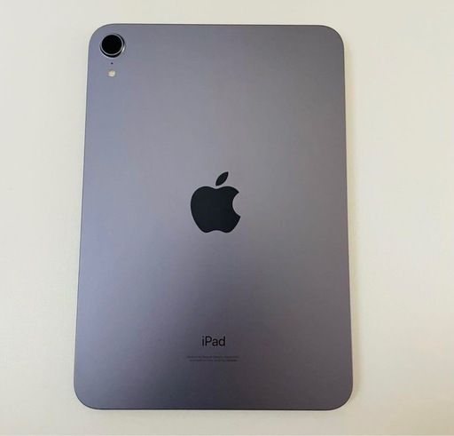 iPad iPad mini6 256g