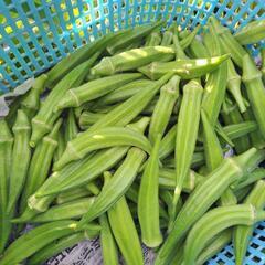選べる野菜セット1200円分の画像