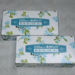 スコッティ　フラワーボックス・長持ち＆コンパクト　2箱迄対応可の画像