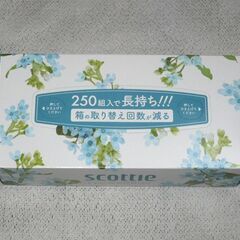 スコッティ　フラワーボックス・長持ち＆コンパクト　2箱迄対応可の画像