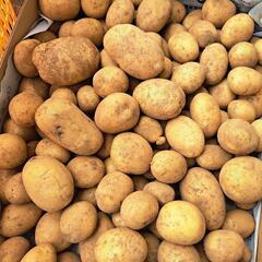 農家オススメ野菜セット1000円分の画像