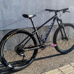 SPECIALIZED pitch expert 1x 27.5インチ の画像
