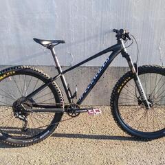 SPECIALIZED pitch expert 1x 27.5インチ の画像