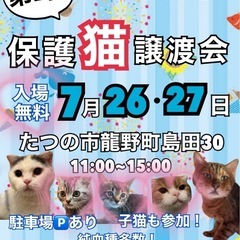 保護猫譲渡会in兵庫