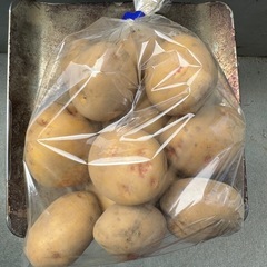 【新じゃが】メークイン　1kgの画像