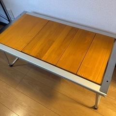 【スノーピーク】エントリーIGT"激レア" の画像
