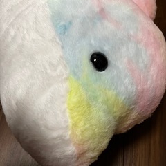 コットンキャンディドルフィン❣️🐬の画像