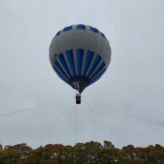 アクティブにトライ