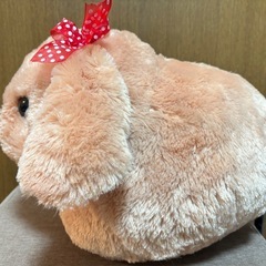 【決定済】うさだま ぬいぐるみ うさぎ プライズ品 おもちゃの画像