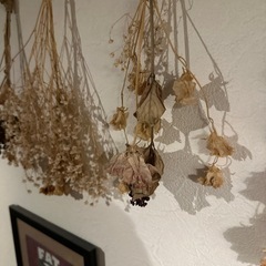 ★完了★【ドライフラワー】5点の画像