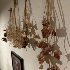 ★完了★【ドライフラワー】5点の画像