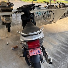 シグナスX 1型
の画像