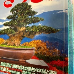 最終値下げ‼️月刊さつき研究 の画像