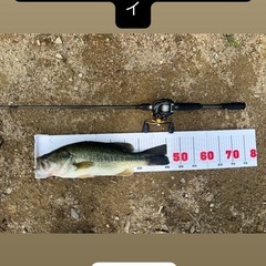 青野ダムで一緒につりしませんか(｀・∀・´)