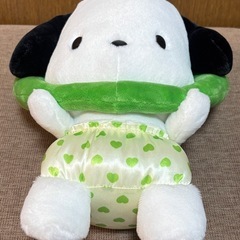 ポチャッコ サンリオ ぬいぐるみ マスコット おもちゃの画像