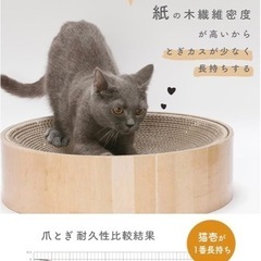 猫壱(necoichi) バリバリボウルXL の画像