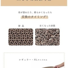 猫壱(necoichi) バリバリボウルXL の画像