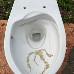 トイレ便器のみですガーデニングに🌵の画像
