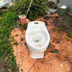 トイレ便器のみですガーデニングに🌵の画像