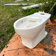 トイレ便器のみですガーデニングに🌵の画像