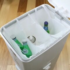 ゴミ箱 ふた付き 分別 ツインペダルの画像