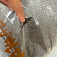 ADA アマゾニア等の画像