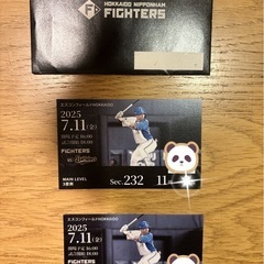 7月11日（金）日ハムVSオリックス　メインレーベル　3塁側内野...