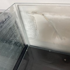 水槽 キューブガーデンの画像