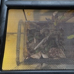 爬虫類ケージの画像