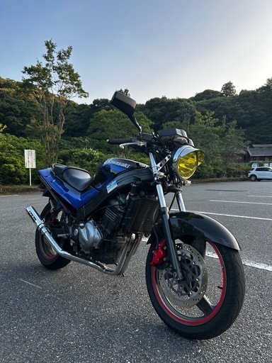 KawasakiZZR250 ネイキッド仕様福岡発 (まぐ※プロフ必読) 南